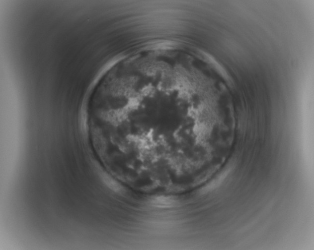 X0000113980835200910091316