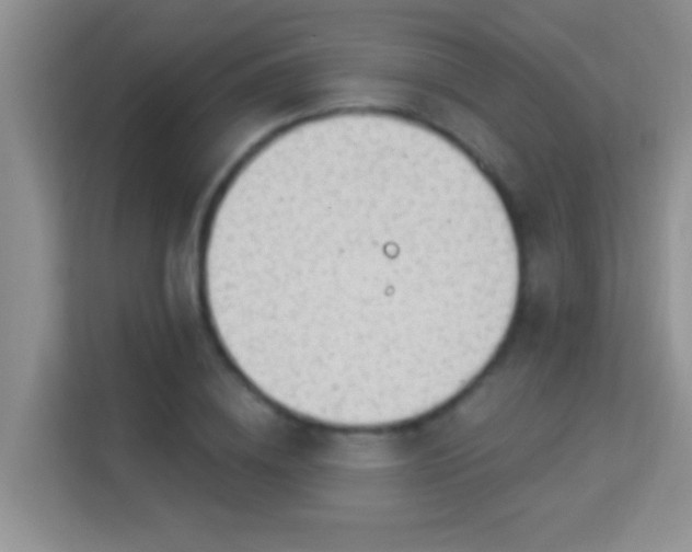 X0000113980836200910091316