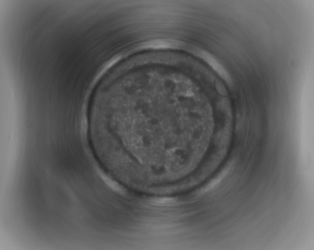 X0000113980837200910091316