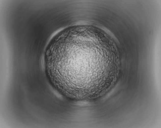 X0000113980838200910091316