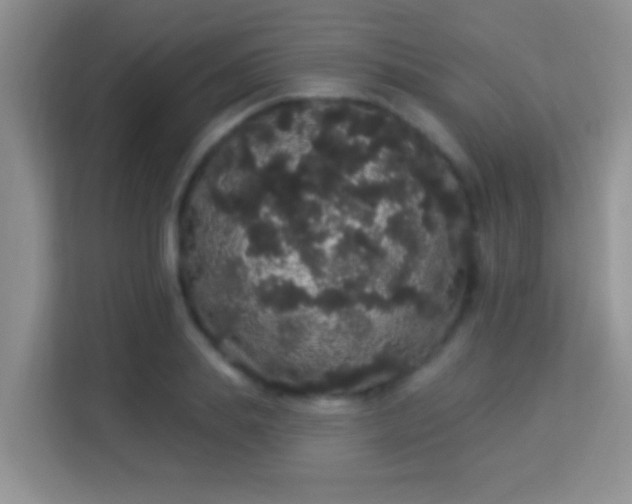 X0000113980839200910091316