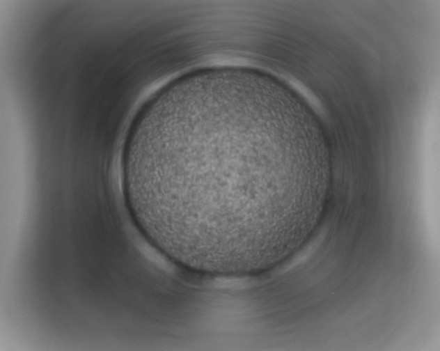 X0000113980840200910091316