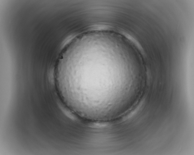 X0000113980842200910091316