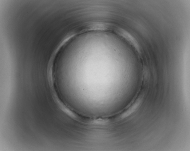 X0000113980843200910091316