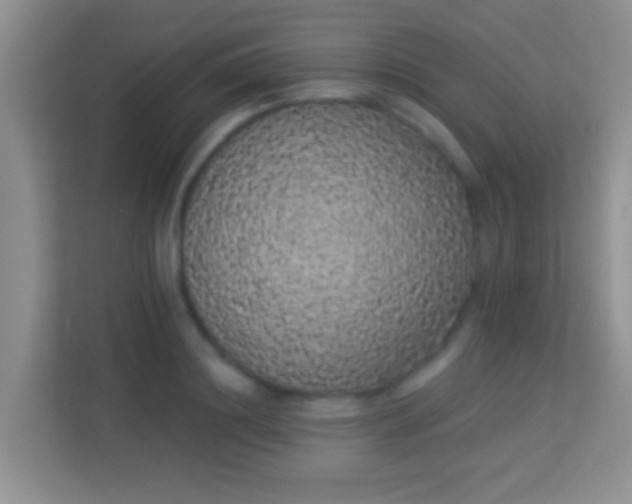 X0000113980844200910091316