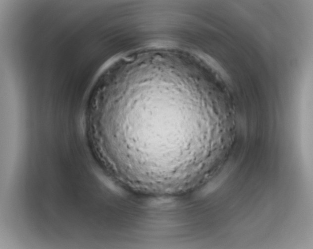 X0000113980846200910091316