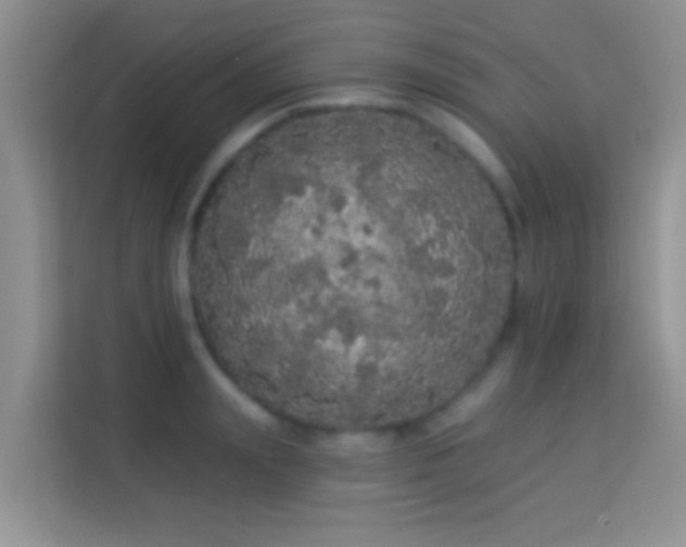 X0000113980847200910091316