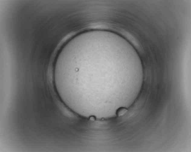 X0000113980848200910091316