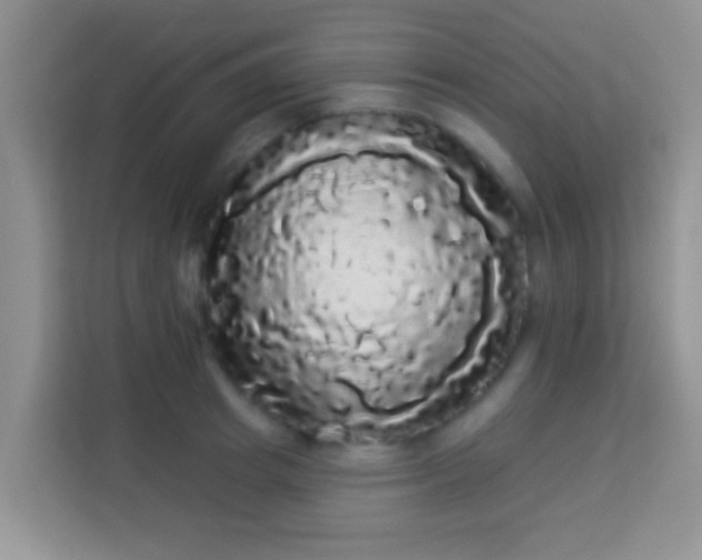 X0000113980849200910091316