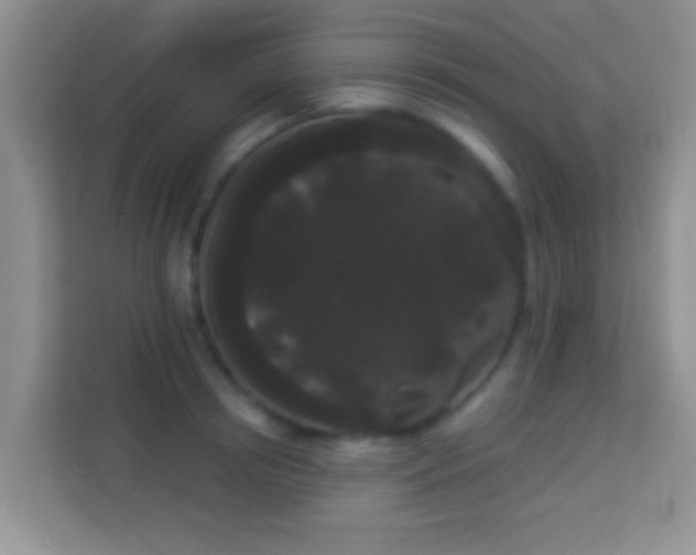 X0000113980850200910091316