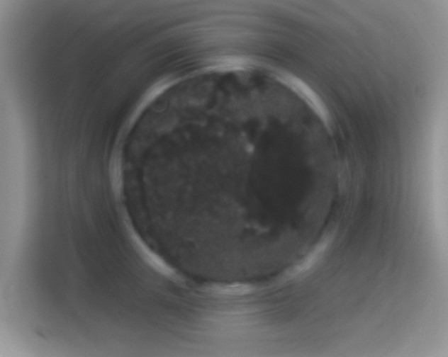 X0000113980851200910091316