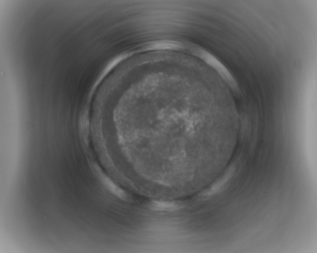 X0000113980852200910091316