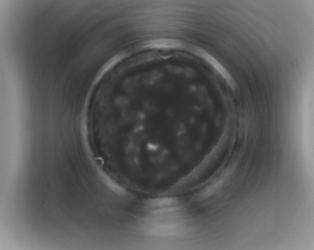 X0000113980853200910091316