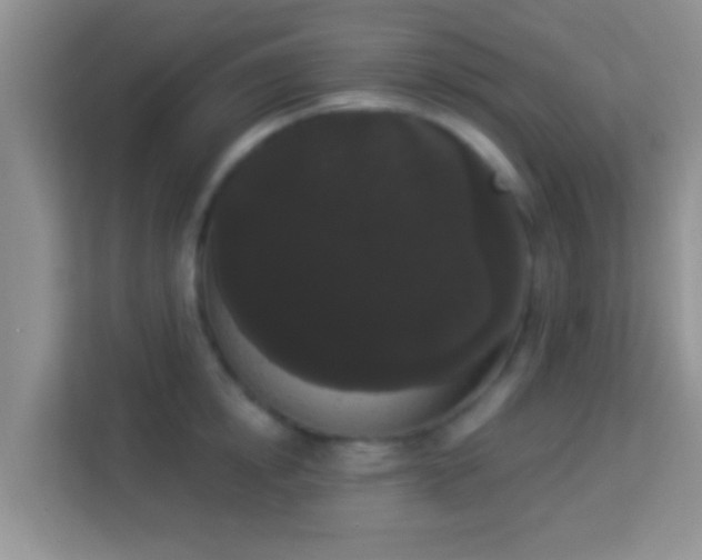 X0000113980854200910091316