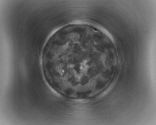 X0000113980855200910091316