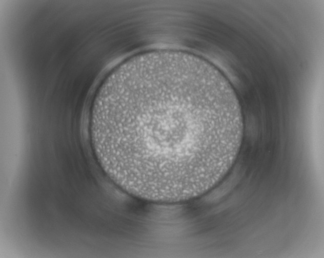 X0000113980856200910091316