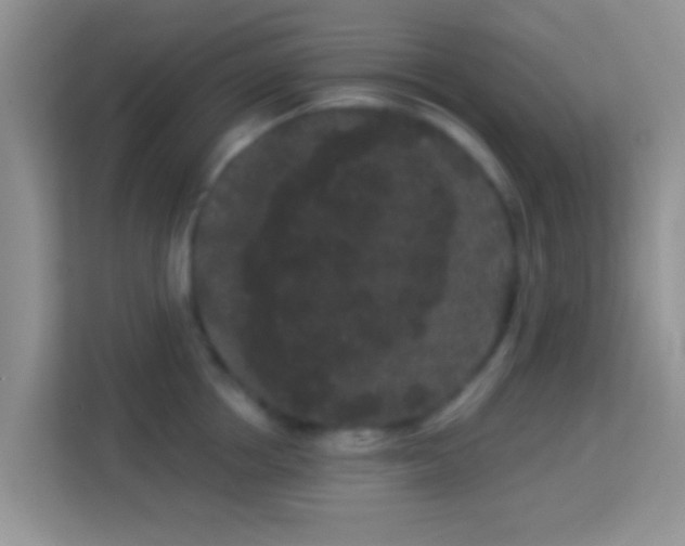 X0000113980858200910091316