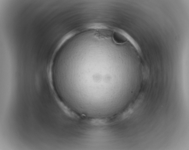 X0000113980861200910091316