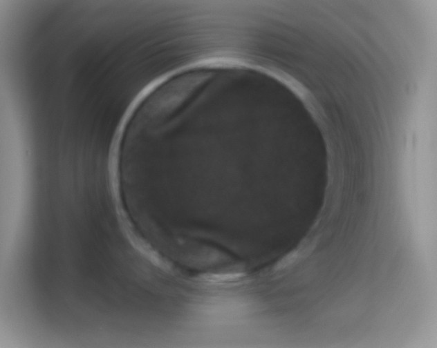 X0000113980864200910091316