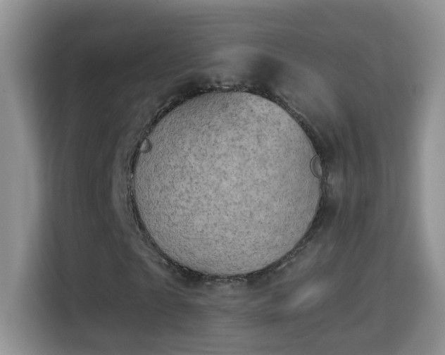 X0000113980865200910091316