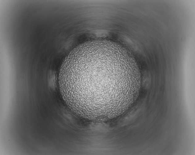 X0000113980866200910091316