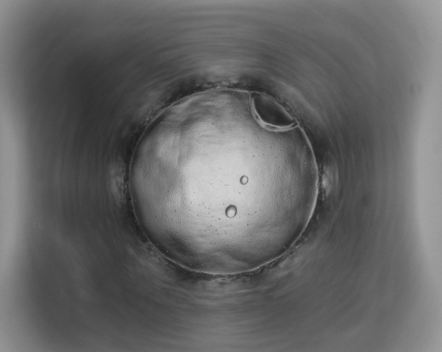 X0000113980867200910091316