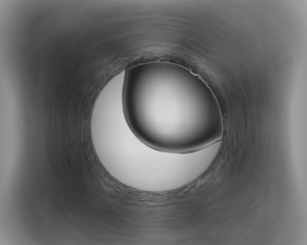 X0000113980868200910091316