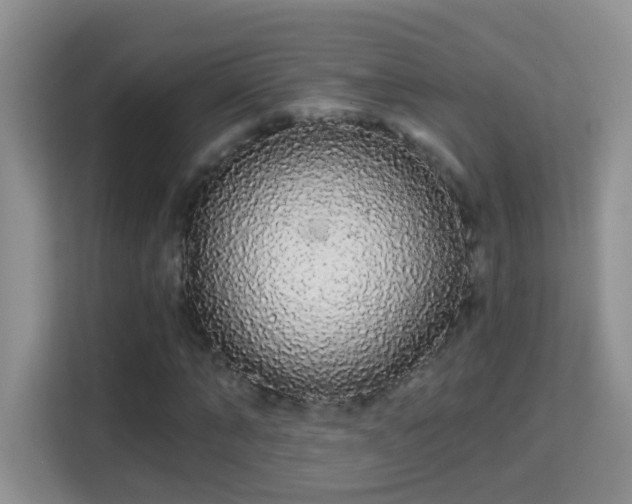 X0000113980870200910091316