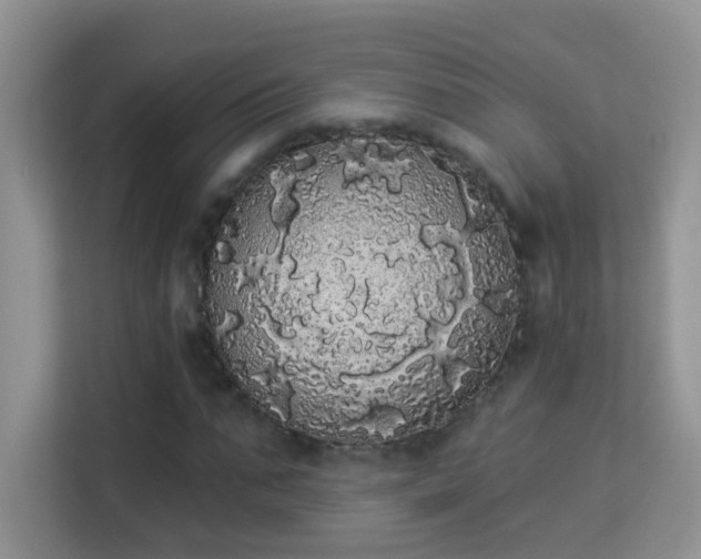 X0000113980871200910091316