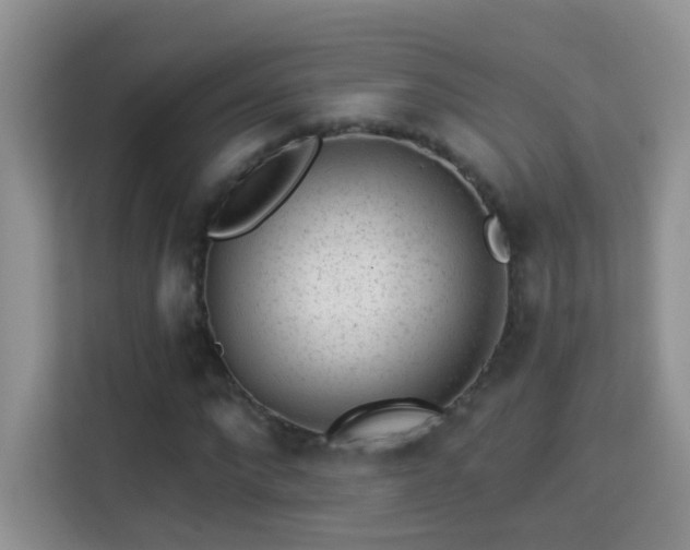 X0000113980872200910091316