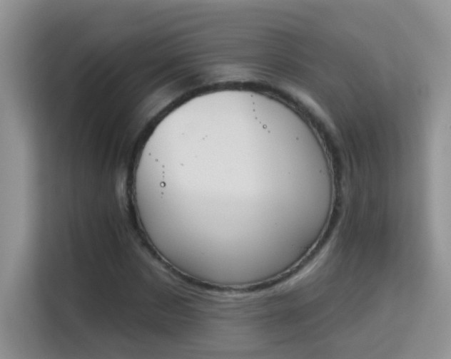 X0000113980873200910091316