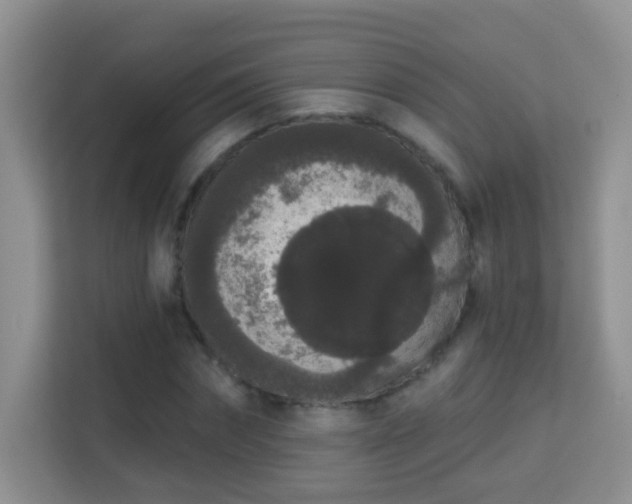 X0000113980874200910091316