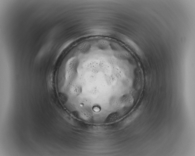 X0000113980875200910091316