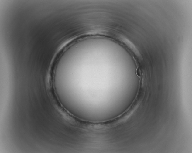 X0000113980876200910091316