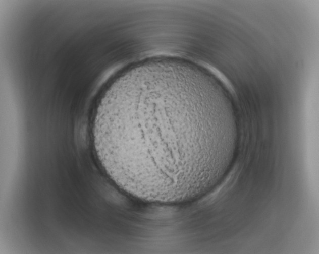 X0000113980878200910091316