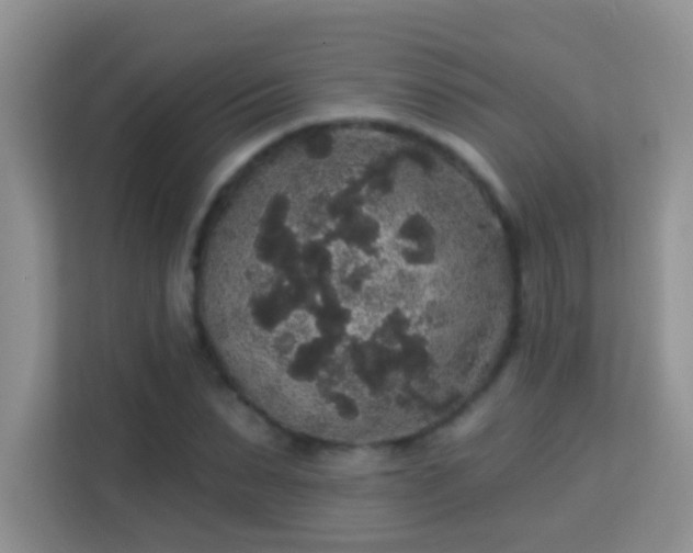 X0000113980879200910091316