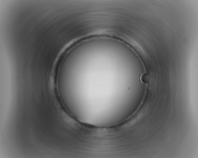 X0000113980880200910091316