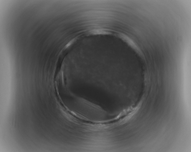 X0000113980881200910091316