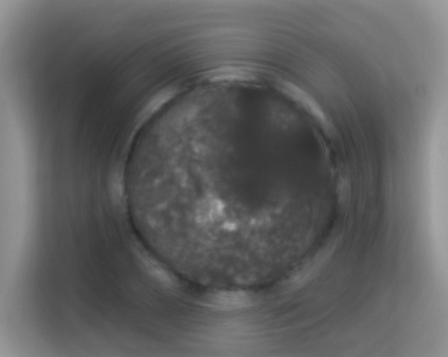 X0000113980882200910091316