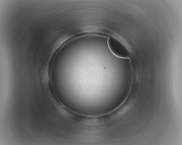 X0000113980885200910091316