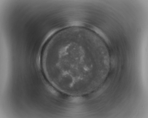 X0000113980886200910091316