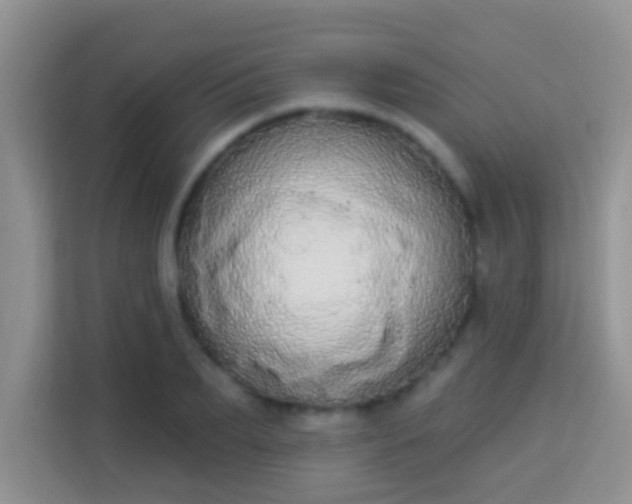 X0000113980887200910091316