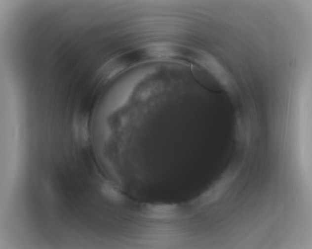 X0000113980889200910091316