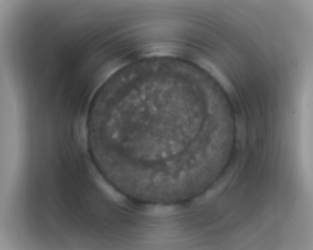 X0000113980890200910091315