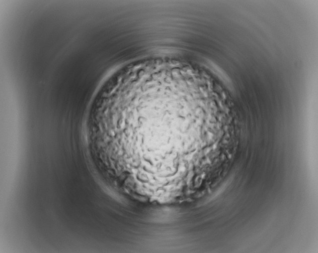 X0000113980891200910091315