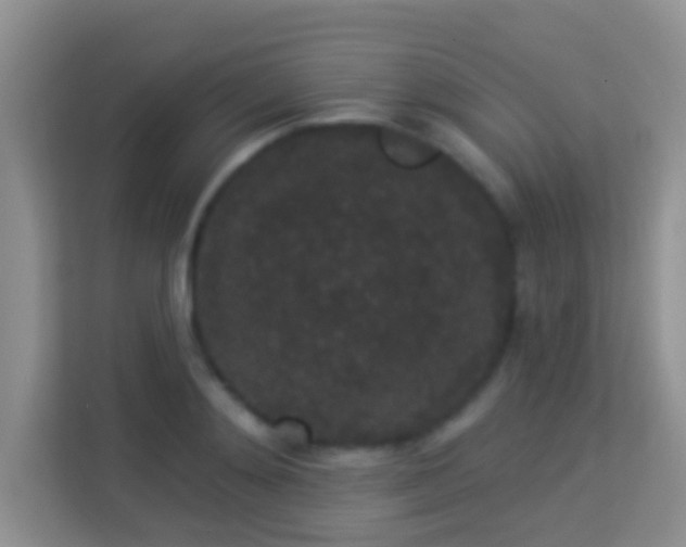 X0000113980892200910091315