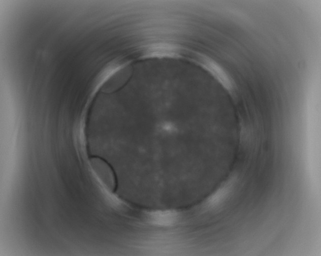 X0000113980893200910091315