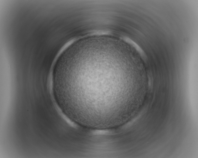 X0000113980894200910091315