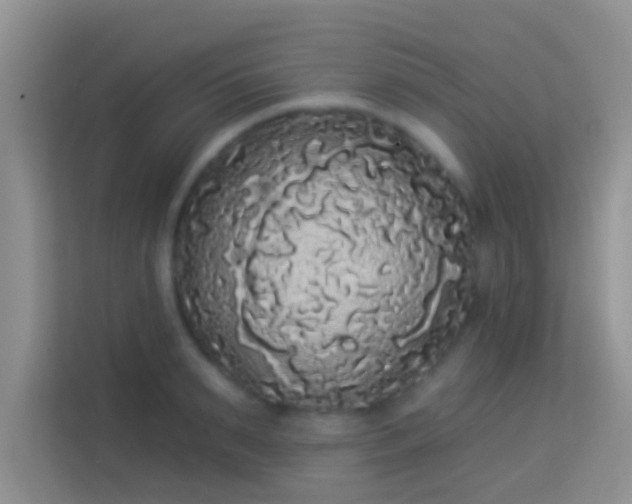 X0000113980895200910091315