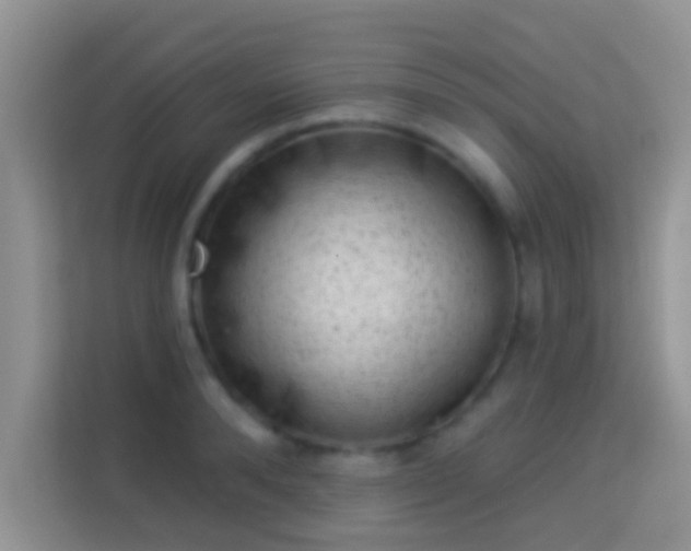 X0000113980896200910091315